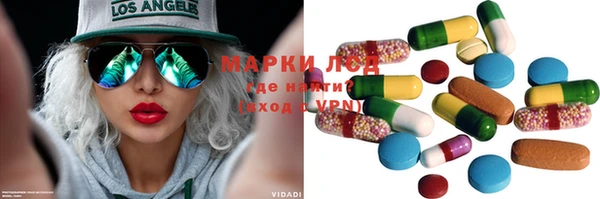 прущие грибы Богородицк