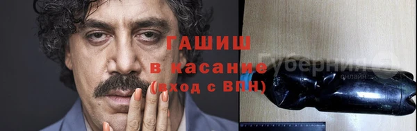 прущие грибы Богородицк