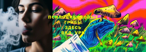 дмт Бугульма