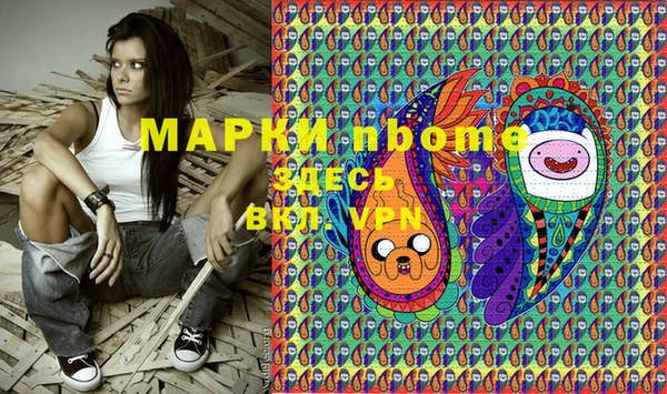 прущие грибы Богородицк