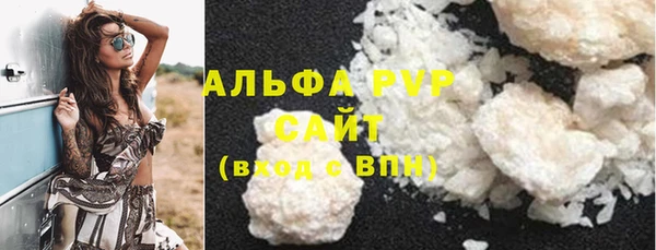 прущие грибы Богородицк