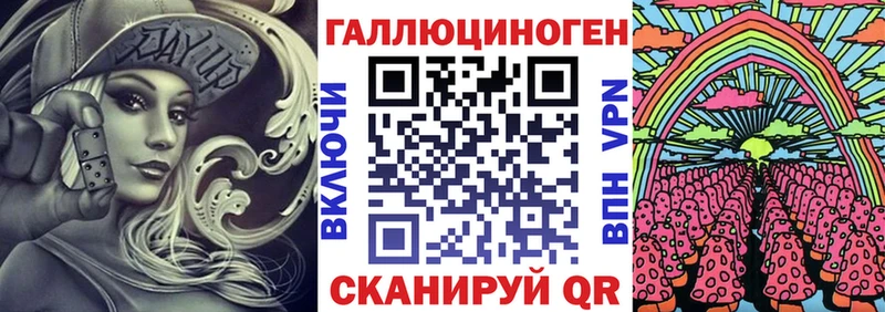 Купить  Можга  Псилоцибиновые грибы Psilocybe 